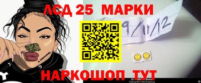мяу мяу мука Будённовск