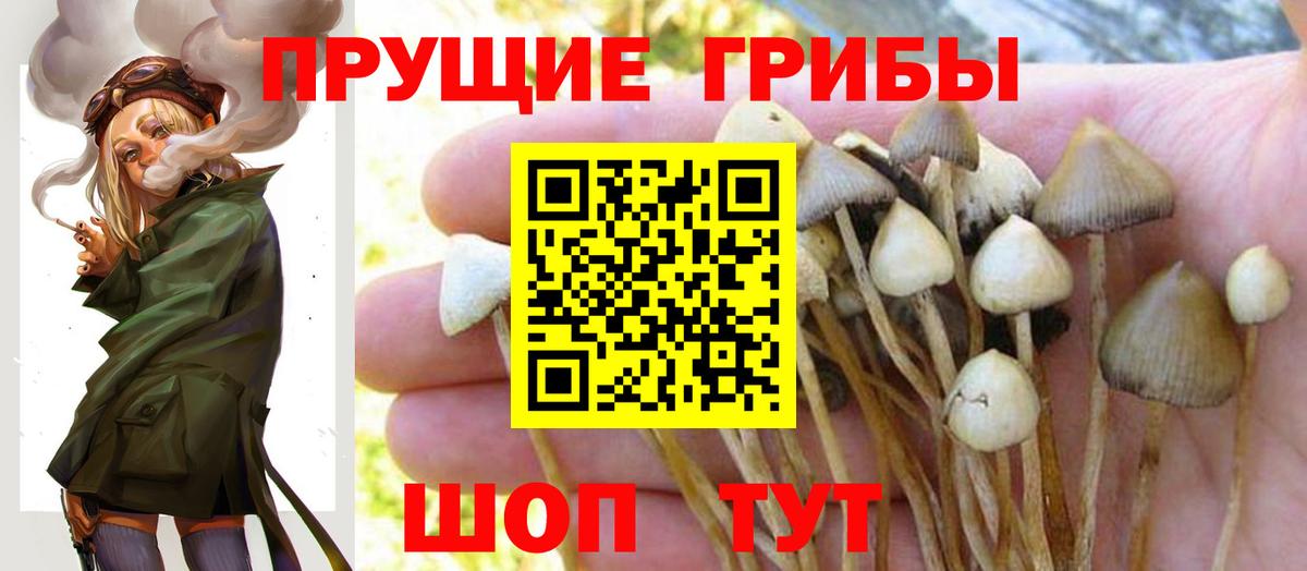 Псилоцибиновые грибы ЛСД  Вход с VPN  Чехов 