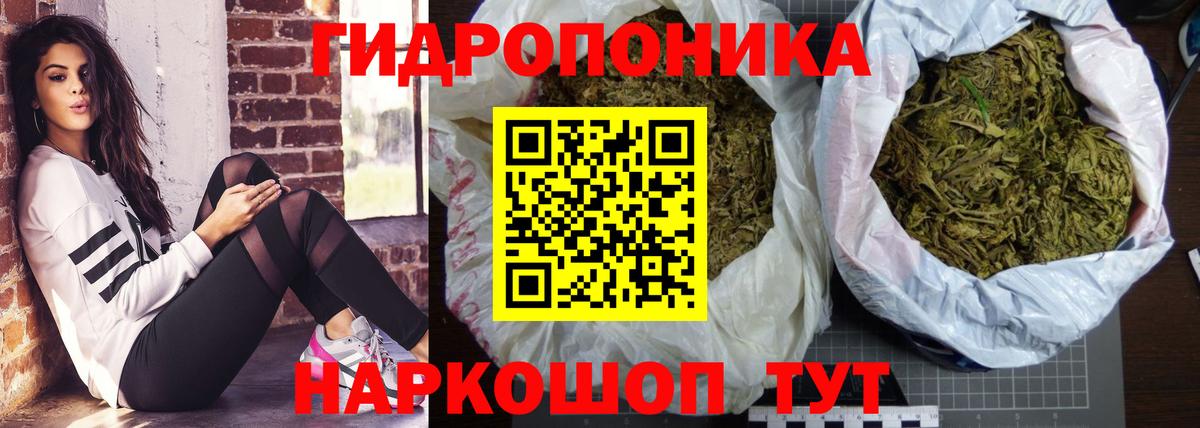 Канабис планчик Чехов